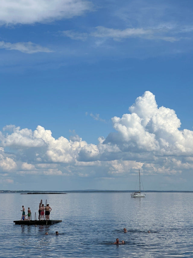 A Scandinavian Summer