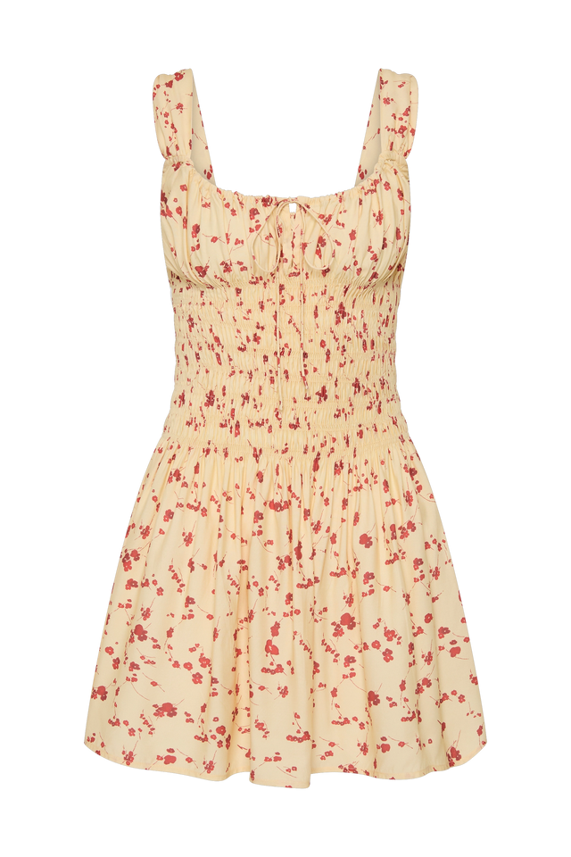 Yerres Mini Dress Blossom Yellow