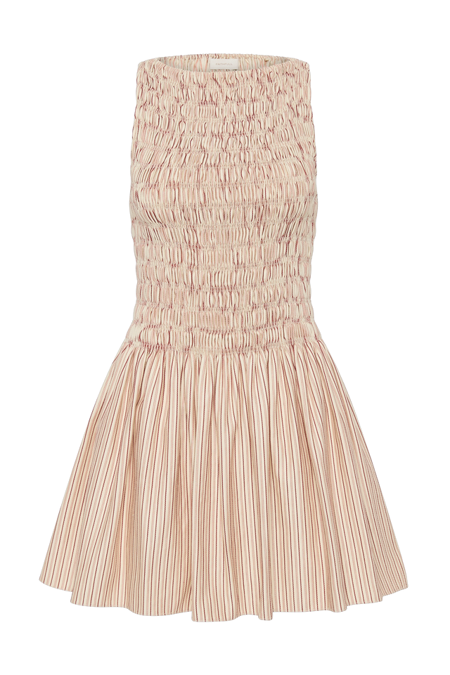 Noa Mini Dress Pinstripe Garnet Blush