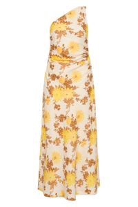 Sola Maxi Dress Midsummer Floral