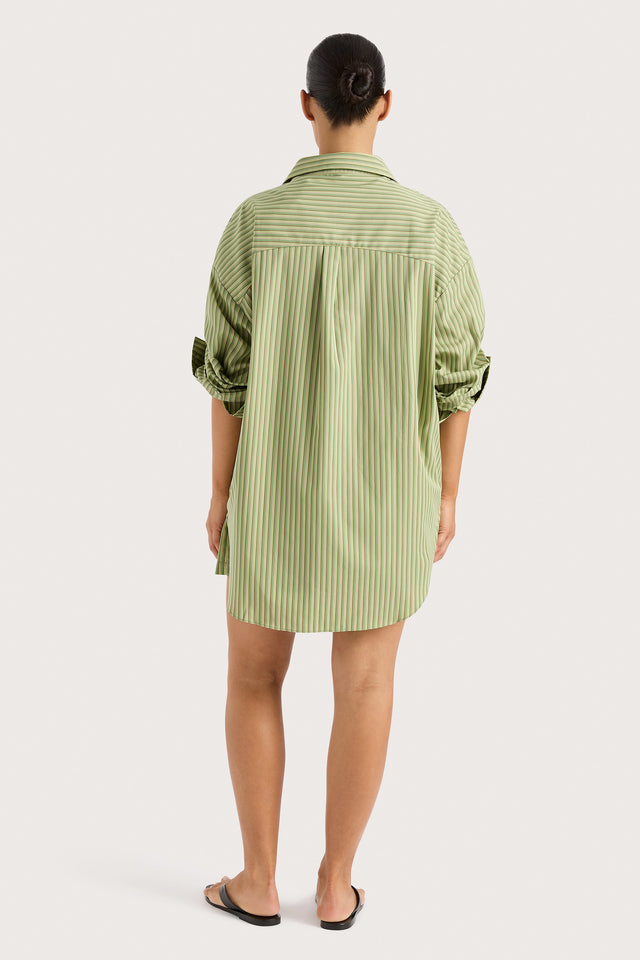 Freja Shorts Green Stripe