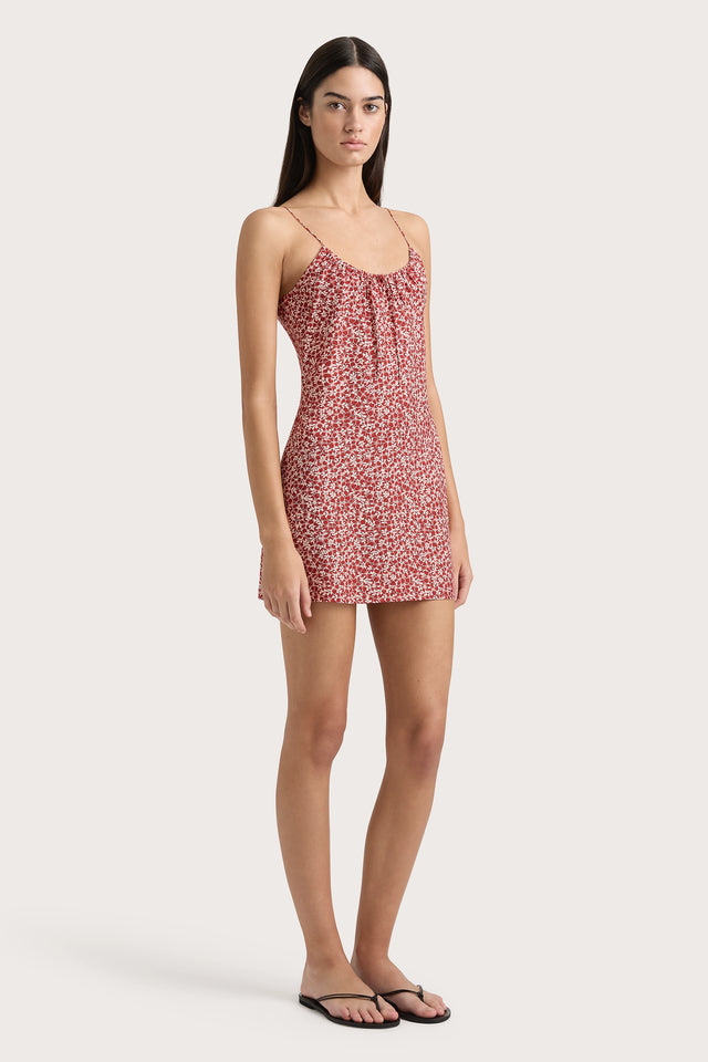 Pau Mini Dress Peony Stamp Garnet