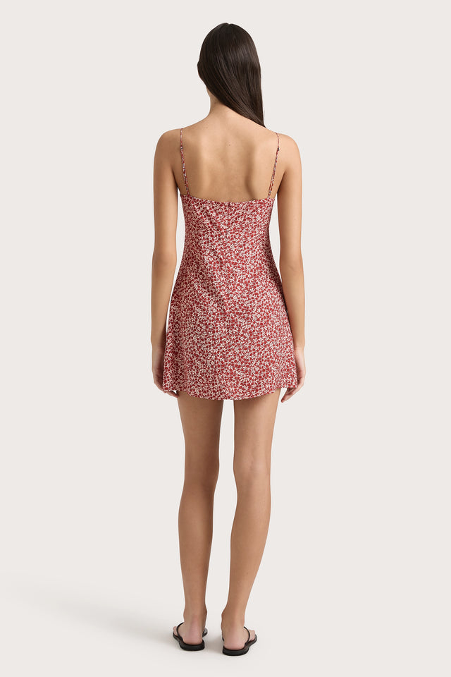 Pau Mini Dress Peony Stamp Garnet