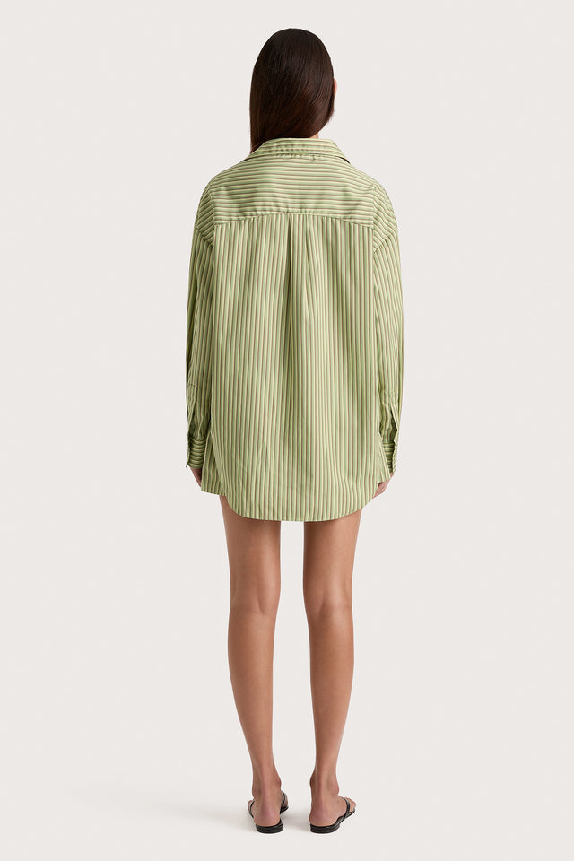 Freja Shorts Green Stripe