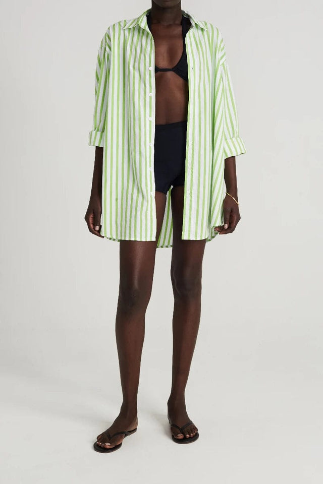 Vega Shirt Dress Martie Stripe Print Green - Final Sale