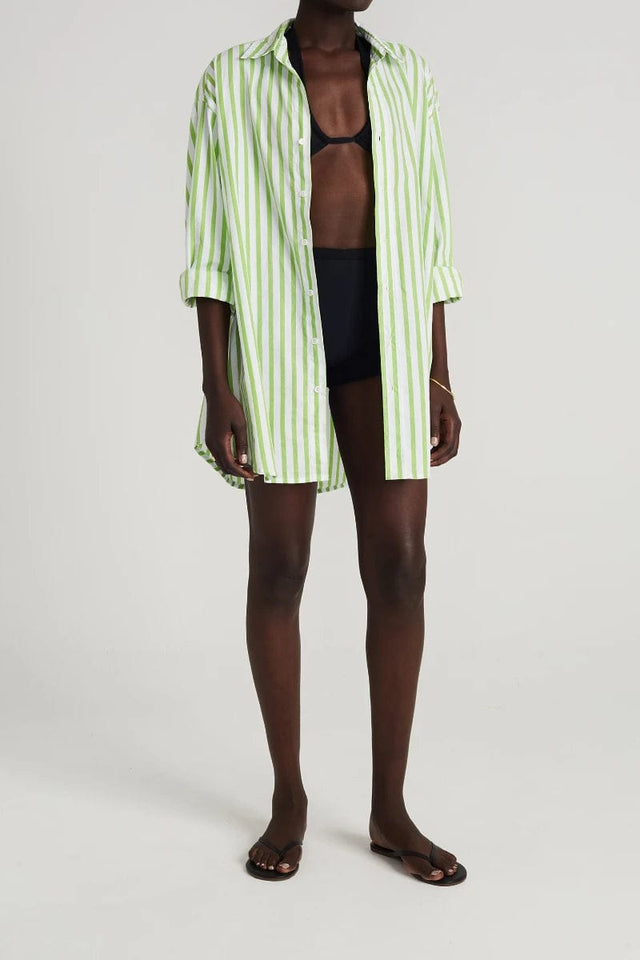 Vega Shirt Dress Martie Stripe Print Green - Final Sale