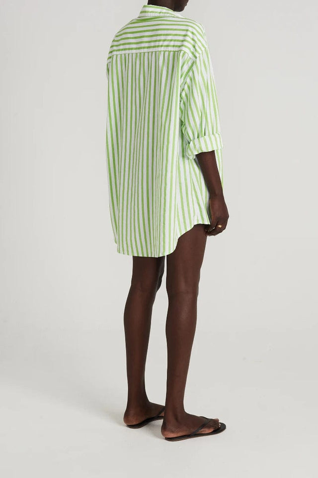 Vega Shirt Dress Martie Stripe Print Green - Final Sale