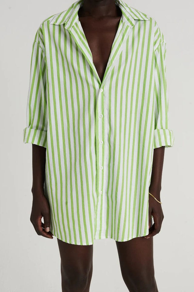 Vega Shirt Dress Martie Stripe Print Green - Final Sale